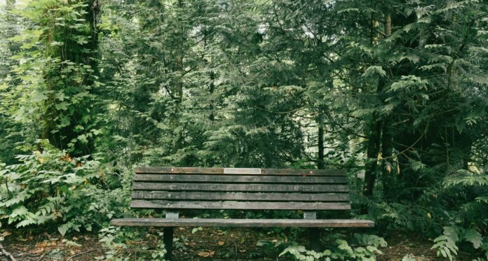 Portland Urban Parks