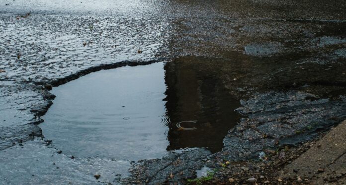 Portland Pothole Evolution Museum