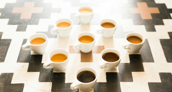 Museum of Coffee Decisions in Portland